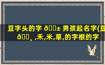 豆字头的字 🐱 男孩起名字(豆 🕸 ,禾,米,草,的字根的字取名)